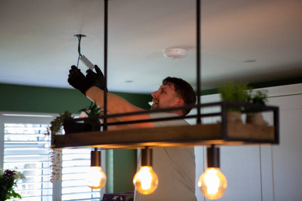 Best Generator Installation Services  in Cornell, WI