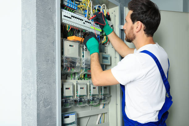 Best Ceiling Fan Installation Electrician  in Cornell, WI
